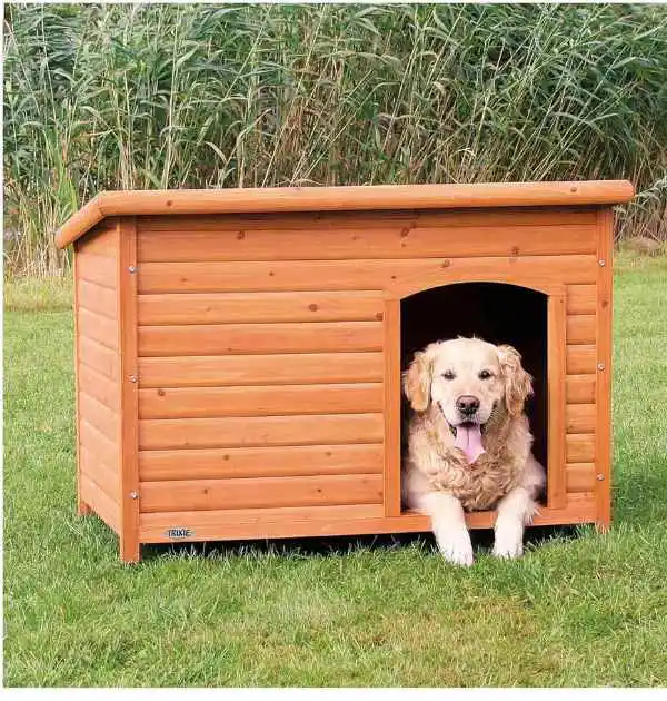 Golden Retriever relaxing inside an insulated wooden dog house for giant breeds, set in a grassy outdoor area