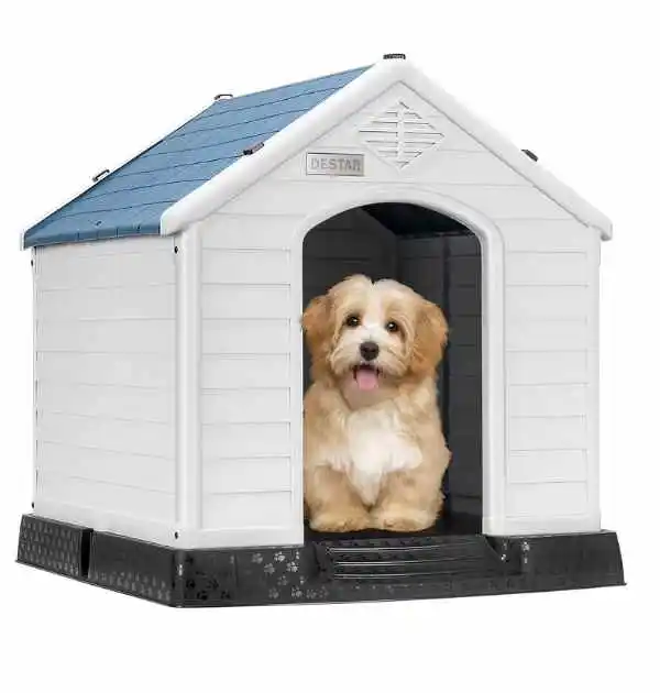 A dog comfortably seated inside a durable, elevated, insulated dog house, showcasing its cozy living space.