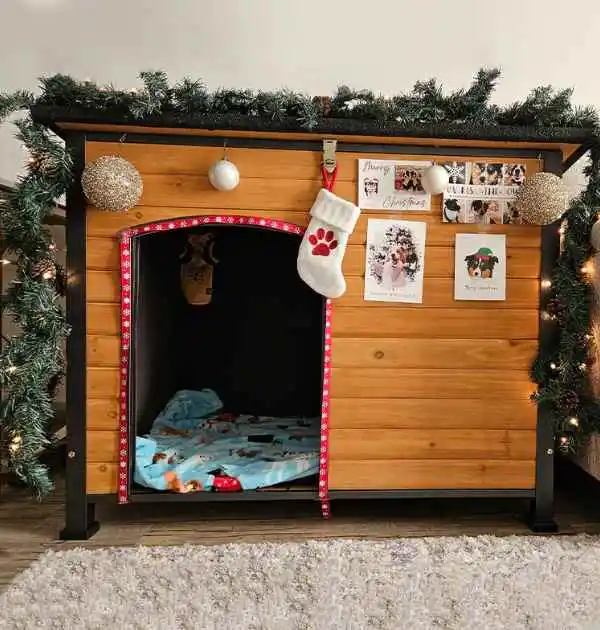 Aivituvin Insulated Dog House adorned with festive Christmas decorations scattered on the floor.