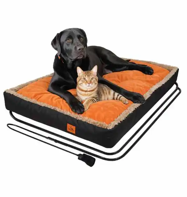 A black dog and cat peacefully resting together on a heated orange pet bed.