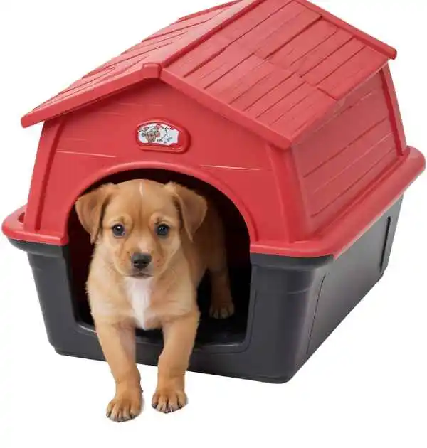 Adorable puppy sitting in a red and black insulated dog house by Petmate, designed for small to medium breeds, offering comfort and protection year-round.