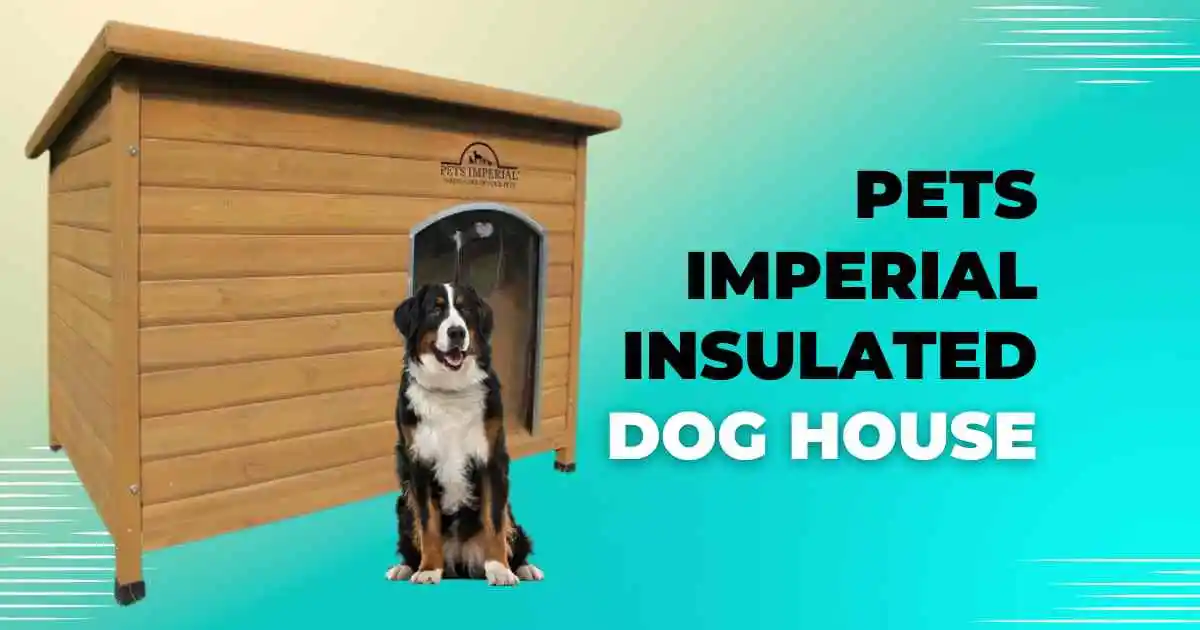 A dog poses in front of a pet imperial insulated dog house, emphasizing a cozy and protective environment for pets.